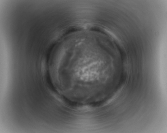 X0000113860594200910011023
