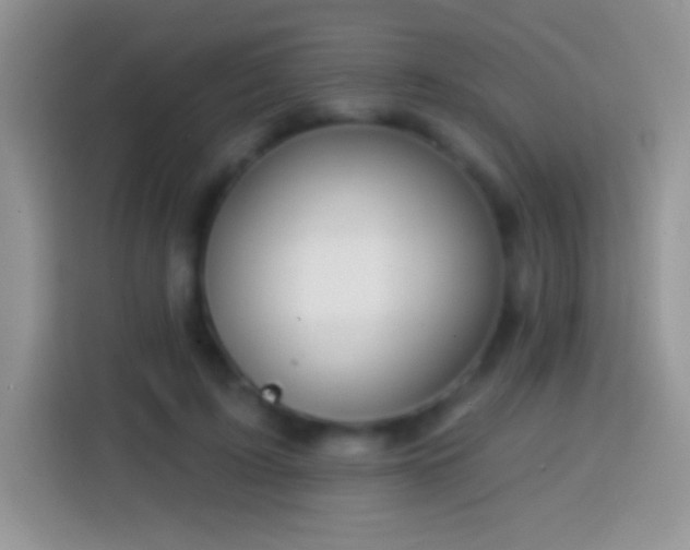 X0000113860595200910011023