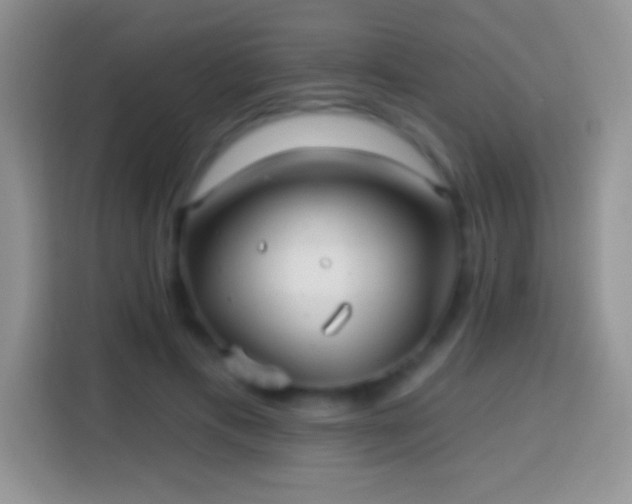 X0000113860597200910011023
