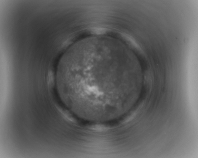X0000113860598200910011023