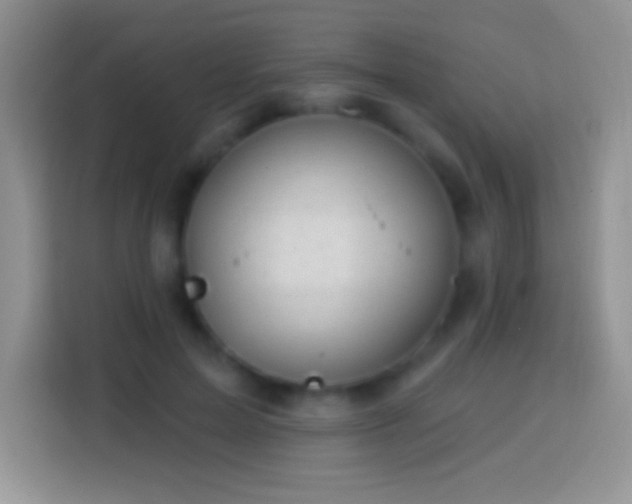 X0000113860599200910011023