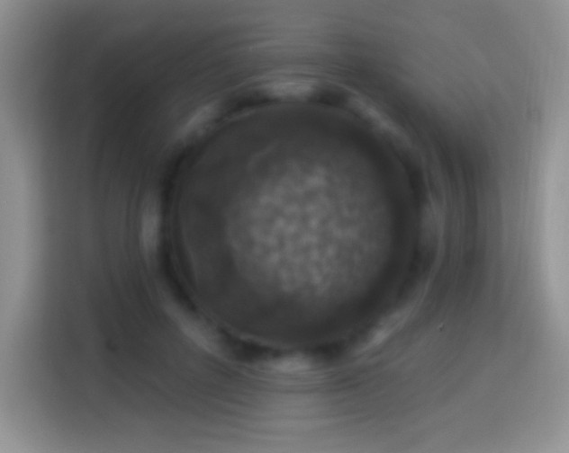 X0000113860600200910011023