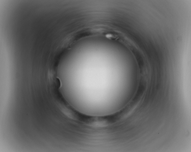 X0000113860601200910011023