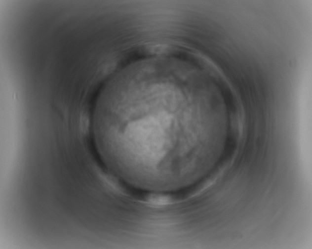 X0000113860602200910011023