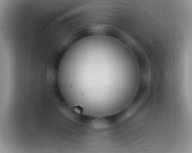 X0000113860603200910011023