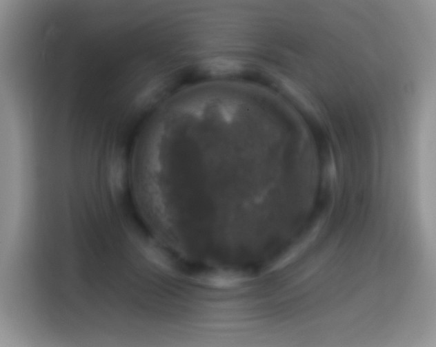X0000113860604200910011023