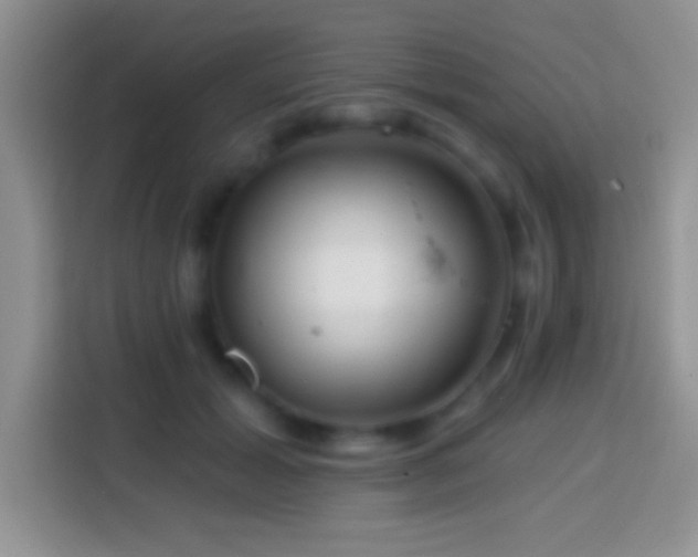 X0000113860605200910011023