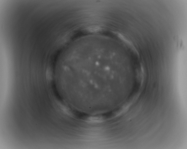 X0000113860606200910011023