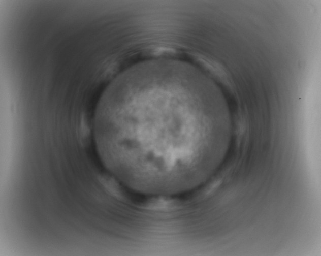 X0000113860607200910011023