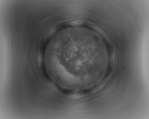 X0000113860608200910011023