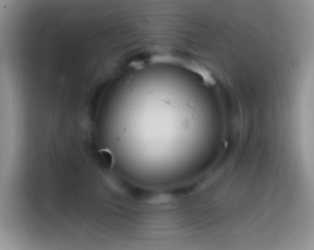 X0000113860609200910011023