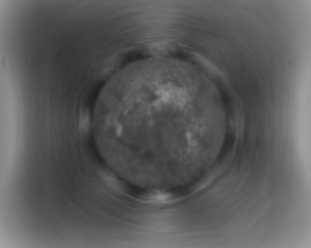X0000113860610200910011023