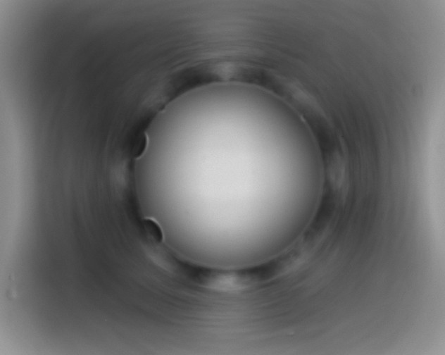 X0000113860611200910011023