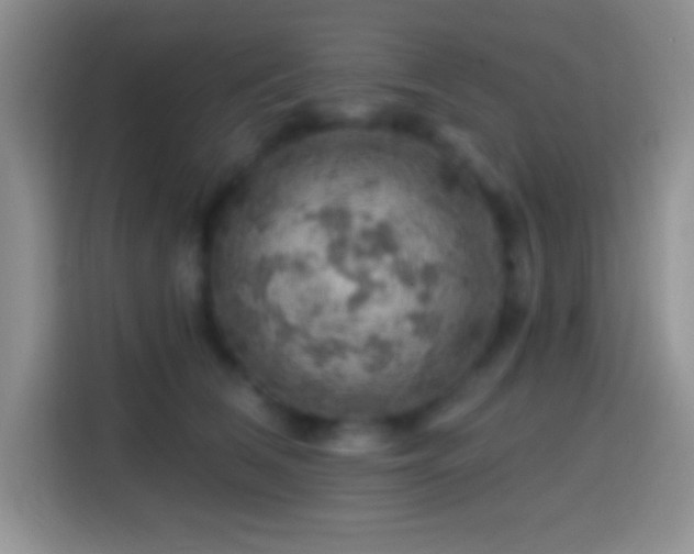 X0000113860612200910011023