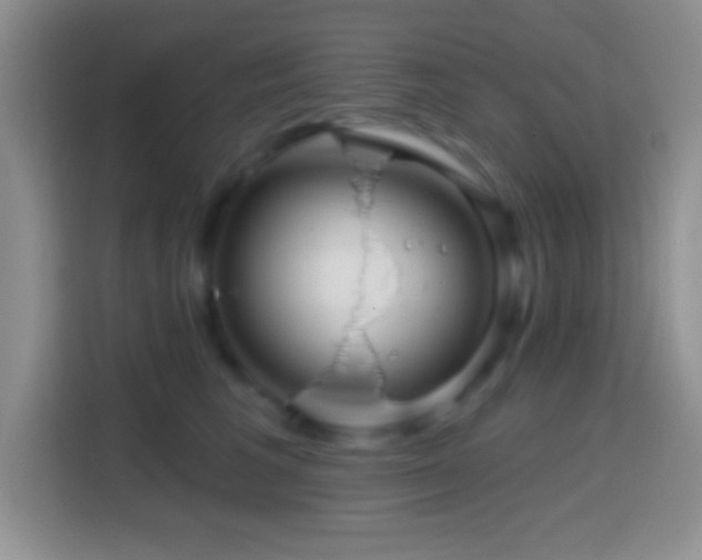 X0000113860613200910011023