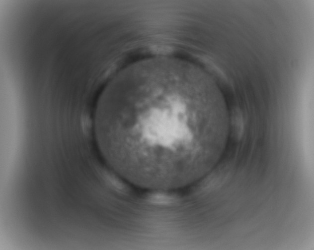 X0000113860614200910011022