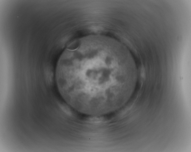X0000113860615200910011022