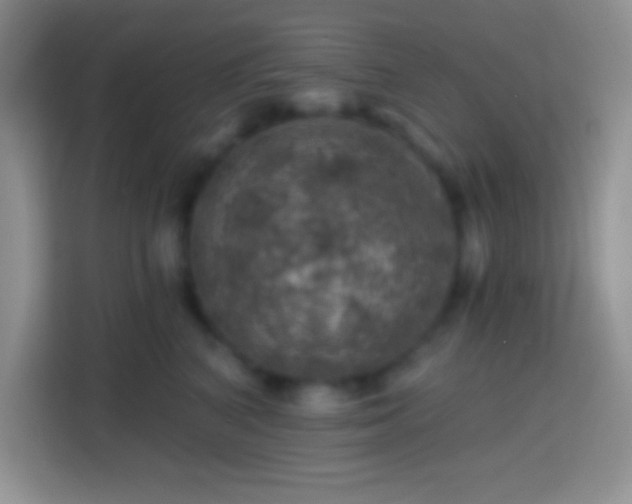 X0000113860616200910011022