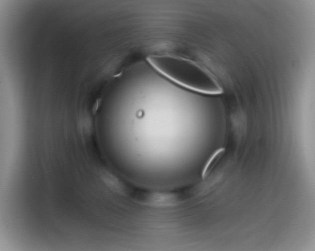 X0000113860617200910011022