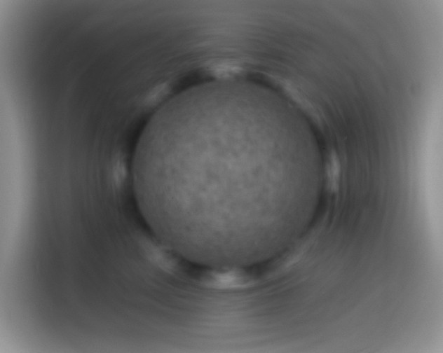 X0000113860618200910011022