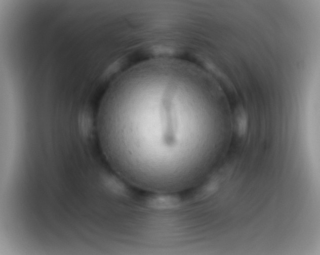 X0000113860619200910011022