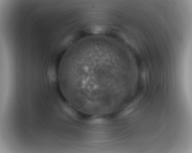 X0000113860620200910011022
