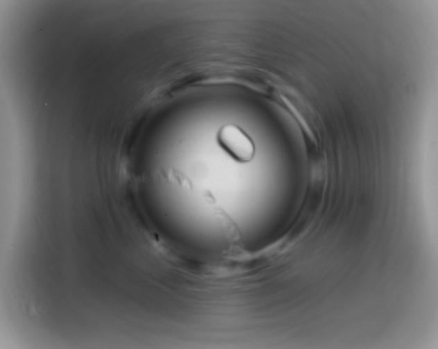 X0000113860621200910011022