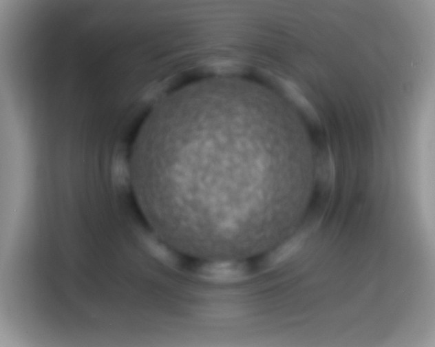 X0000113860622200910011022