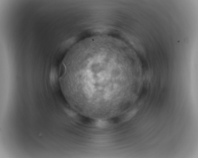 X0000113860623200910011022