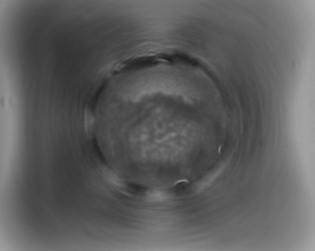 X0000113860624200910011022