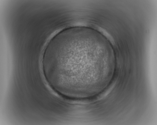 X0000113860625200910011022