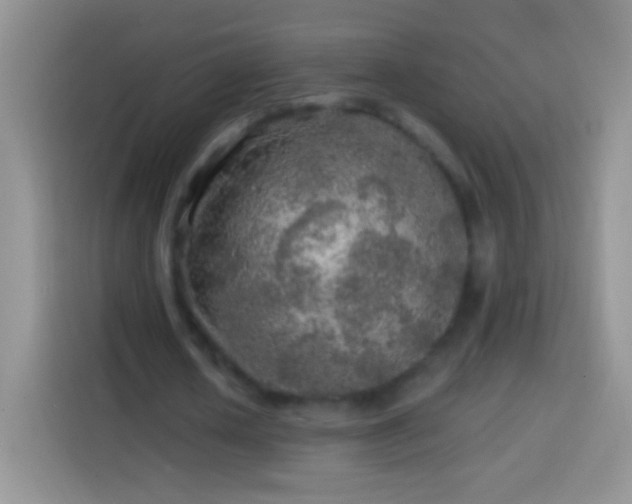 X0000113860626200910011022