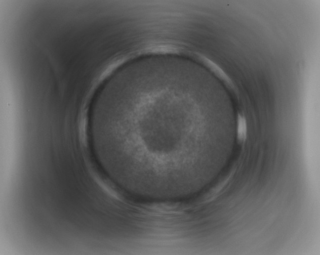 X0000113860627200910011022