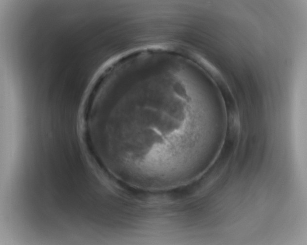 X0000113860628200910011022