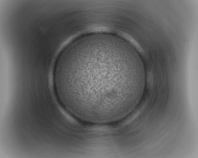 X0000113860629200910011022