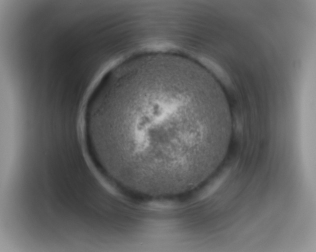 X0000113860630200910011022