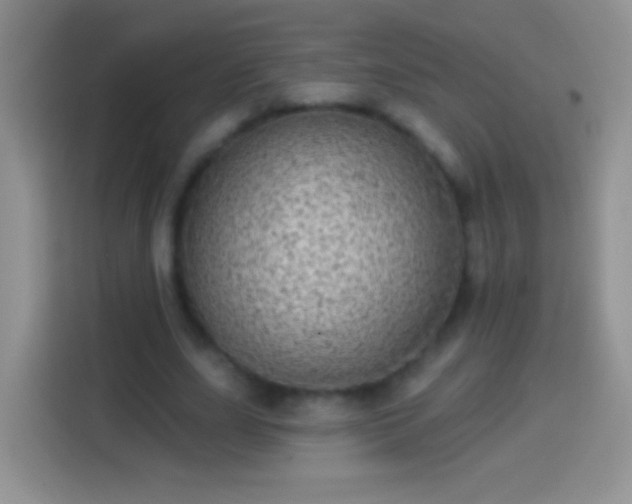 X0000113860631200910011022