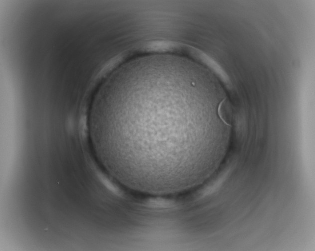 X0000113860633200910011022