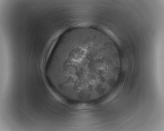 X0000113860634200910011022