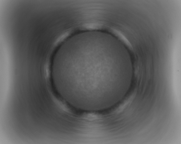 X0000113860635200910011022