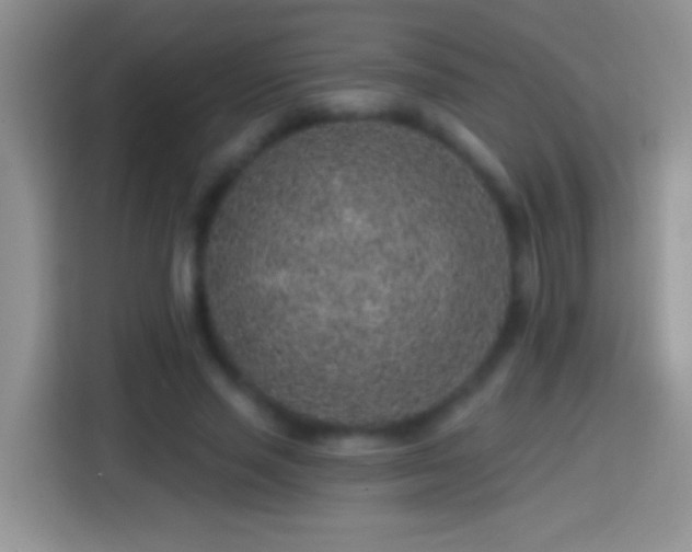 X0000113860637200910011022