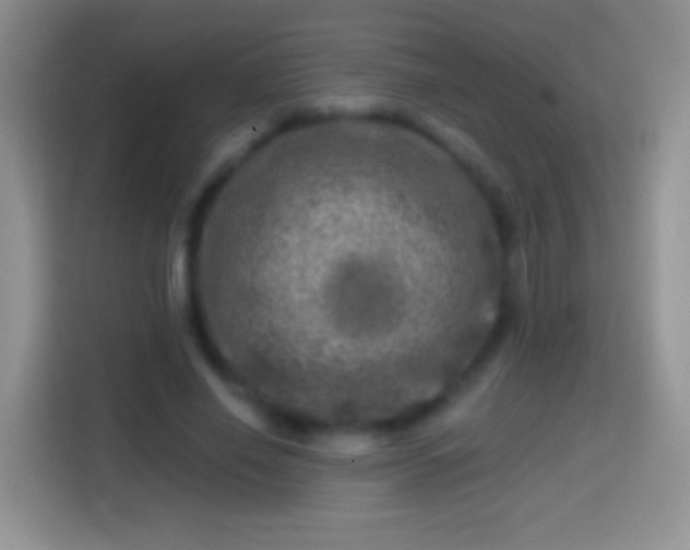 X0000113860638200910011022