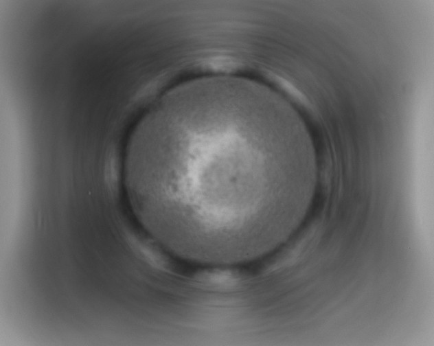 X0000113860639200910011022