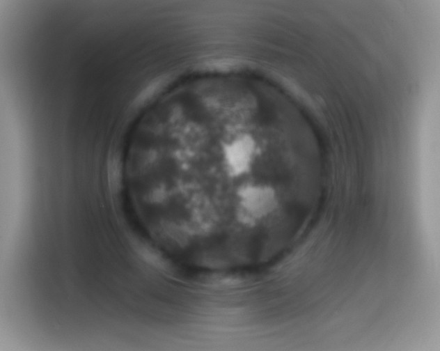 X0000113860640200910011022