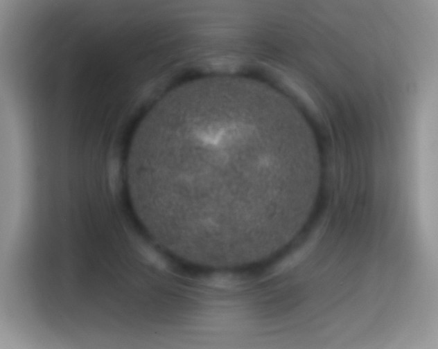 X0000113860641200910011022