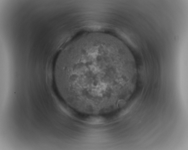 X0000113860642200910011022