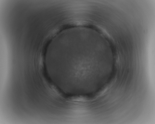 X0000113860643200910011022