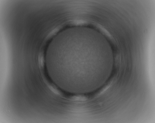 X0000113860644200910011022
