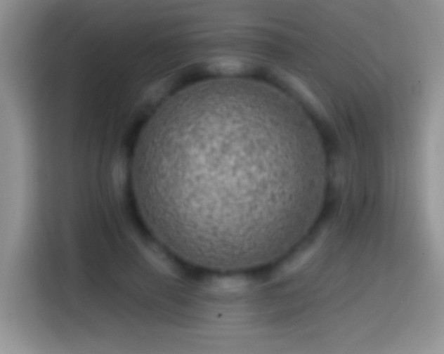 X0000113860645200910011022