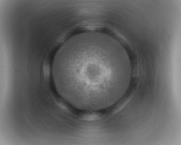 X0000113860646200910011022